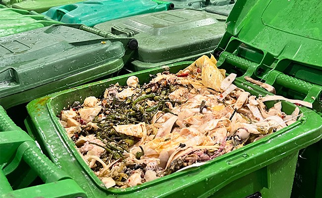 餐厨垃圾.jpg